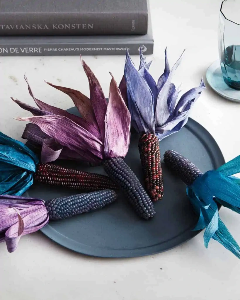 Barwione łuski kukurydzy  w różnych kolorach jako dekoracja wnętrza